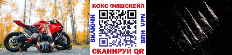хочу   Сарапул  Кокаин Fish Scale 