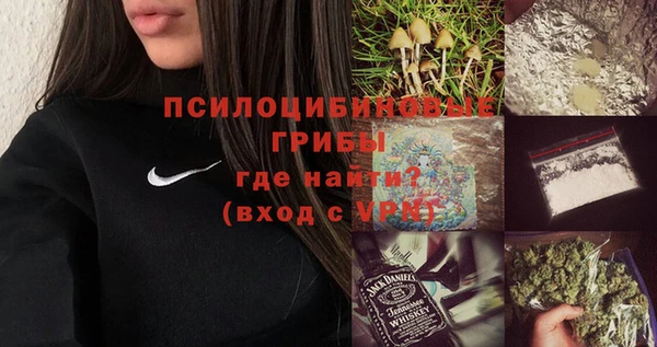 дмт Армянск