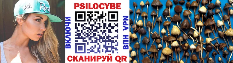 Галлюциногенные грибы Cubensis  мориарти состав  Сарапул 